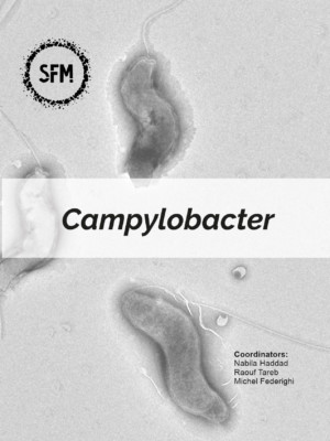 Campylobacter (en)