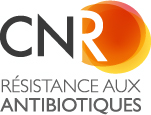 logo_cnr