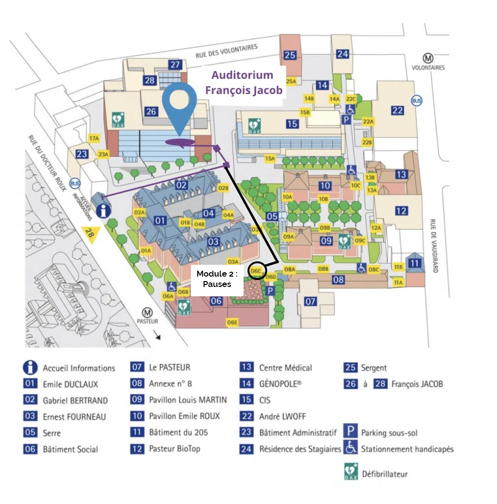 PLAN-IP_GEFH-1010x1024