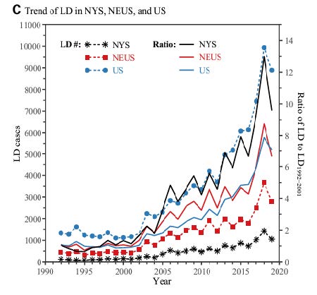 Newsletter SFM 2024 1