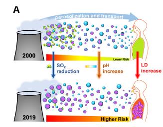 Newsletter SFM 2024 3A