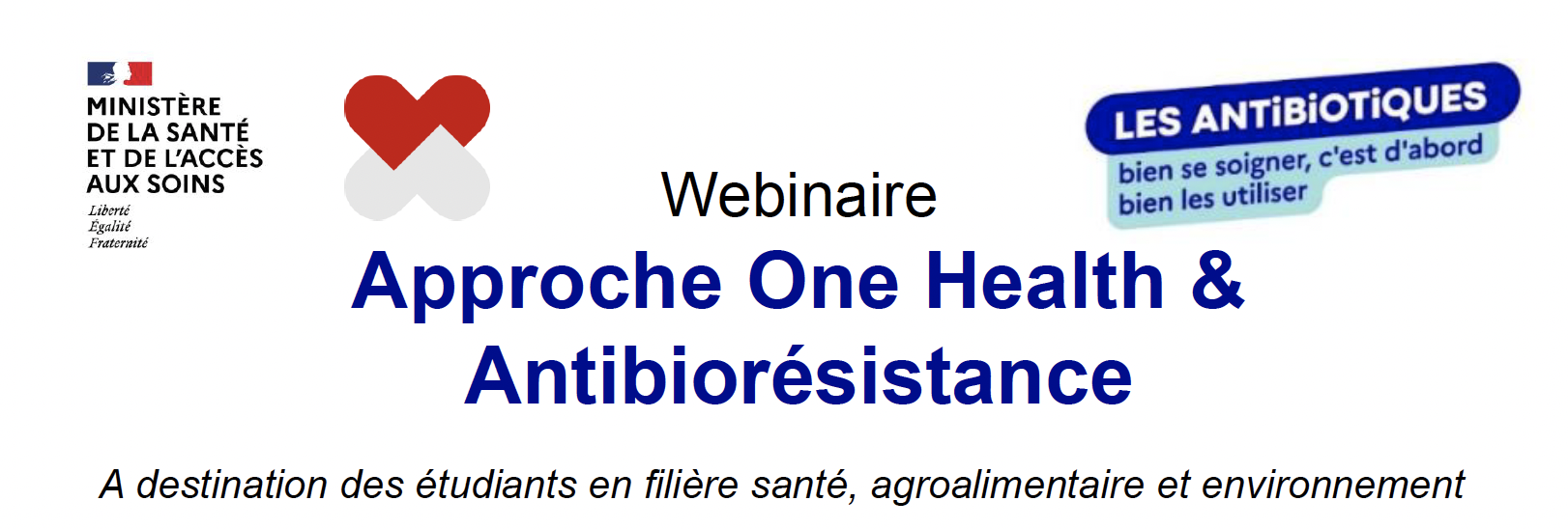 Capture d’écran 2024-11-04 à 16.20.13